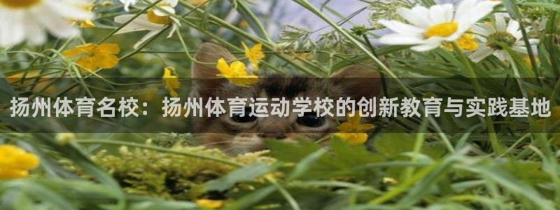 意昂5Kgame股份