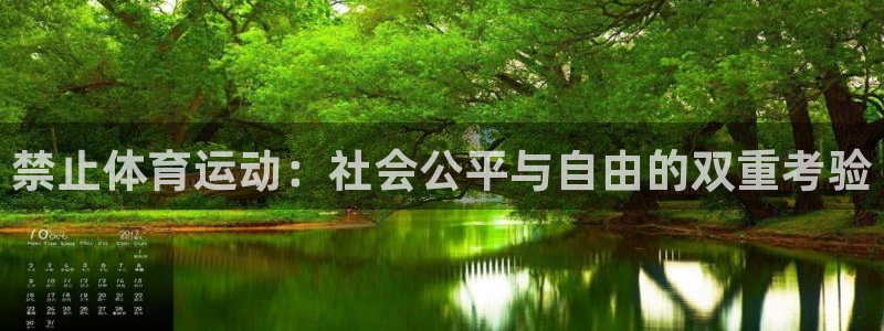 意昂5Kgame体育和杏耀是哪个公司的