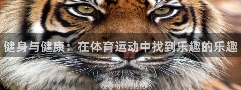 意昂5Kgame平台总代理