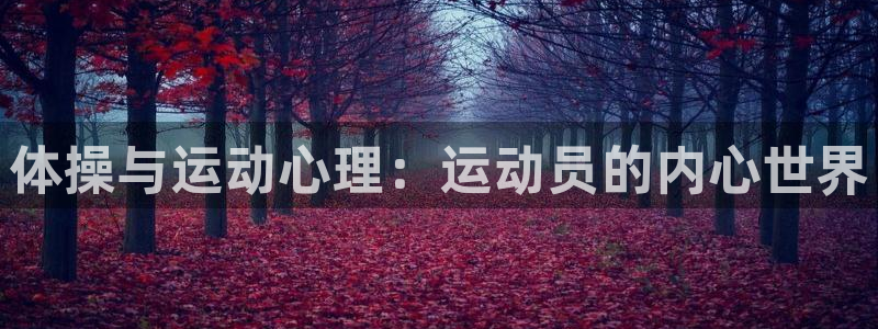 意昂5kgame平台