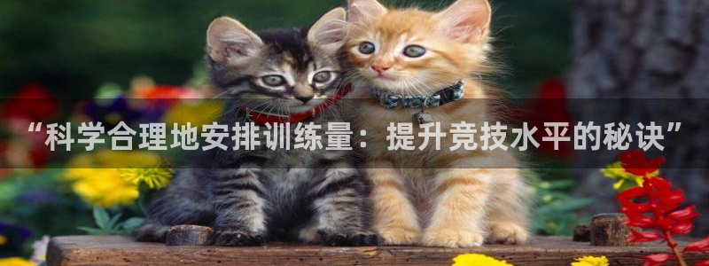 意昂5Kgame凯捷开号链接